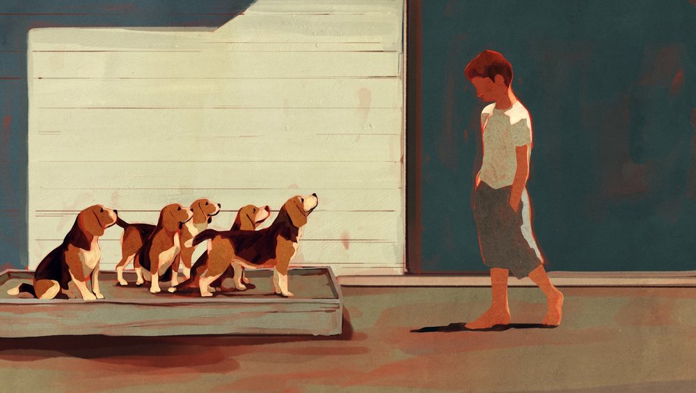 Illustration de Marie Deboissy