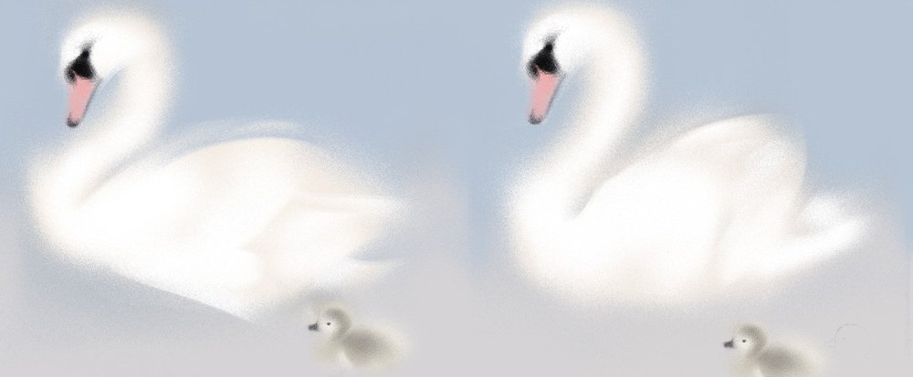 Illustration de Mathilde Loubes